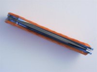 Bild 006 (Medium).jpg