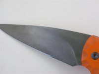 Bild 010 (Medium).jpg