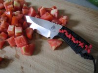 IMG_0183.jpg