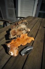 DSC_9541.jpg