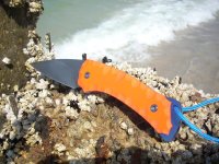 Bild 026 (Medium).jpg