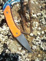 Bild 022 (Medium).jpg