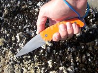 Bild 024 (Medium).jpg