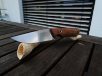 144 EDC Palisander Nx 01.JPG