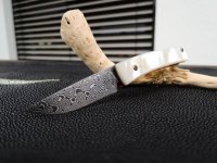 K40 Balbach DSC Perlmutt mini 02.JPG