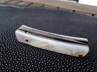 K40 Balbach DSC Perlmutt mini 05.JPG