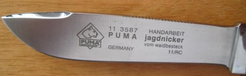 puma nahaufnahme.jpg