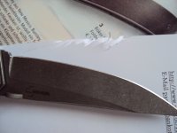 DSC02223.JPG