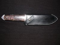 DSCN4824.jpg