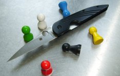 Spyderco Des Horn (2).JPG