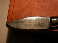 DSCN0518.JPG
