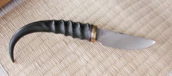 kudu1.jpg