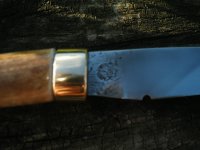 KIF_1363.JPG