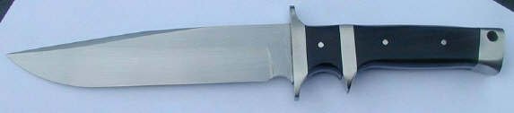 borgerfighter_1_1.JPG