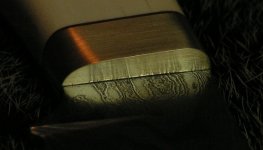 neu 018.jpg