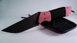 148 Parawick 2442 DLC Mic Red 05.jpg