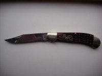 case 004.jpg