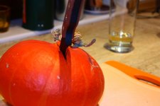 23-2012_09_23_4637.JPG 23-2012_09_23_4637.JPG
