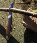 GEC10.jpg
