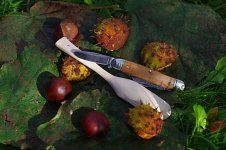 GEC19.jpg