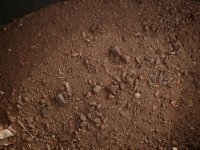 Bundenbach 2012 007.jpg