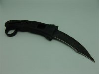 Falcon (13).JPG
