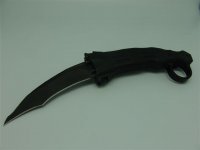 Falcon (12).JPG