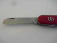 CIMG5993.jpg