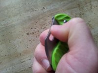 20121022_120822.jpg