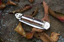 Hubertus_Springer20121023.jpg