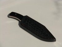 IMG_0126.jpg