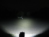 IMG_5734.jpg