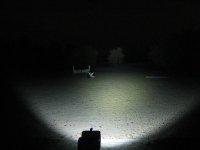 IMG_5735.jpg