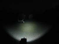 IMG_5736.jpg