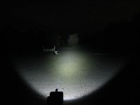 IMG_5738.jpg