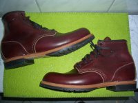#Redwing 3.jpg