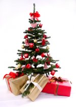 Fotolia_10495635_XS.jpg