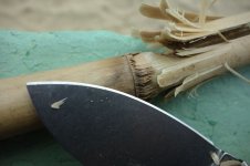 DSC08798.JPG