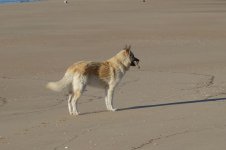 DSC09543.JPG