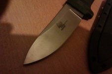 IMAG0381.jpg