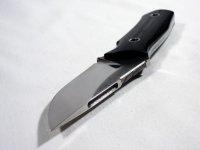 153 G10 Niolox 03 s.JPG