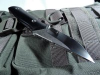 153 G10 Niolox 04.JPG