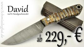 David ab 229.jpg David ab 229.jpg