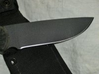 CIMG0095.jpg