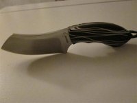 IMG_1481 (Large).jpg