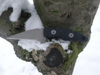 Trident1kl.jpg Trident1kl.jpg