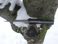 Trident5kl.jpg Trident5kl.jpg