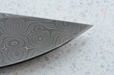 DSC_0938.jpg