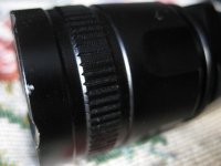 IMG_6027.jpg