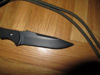 IMG_2195.jpg